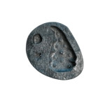 fir mold