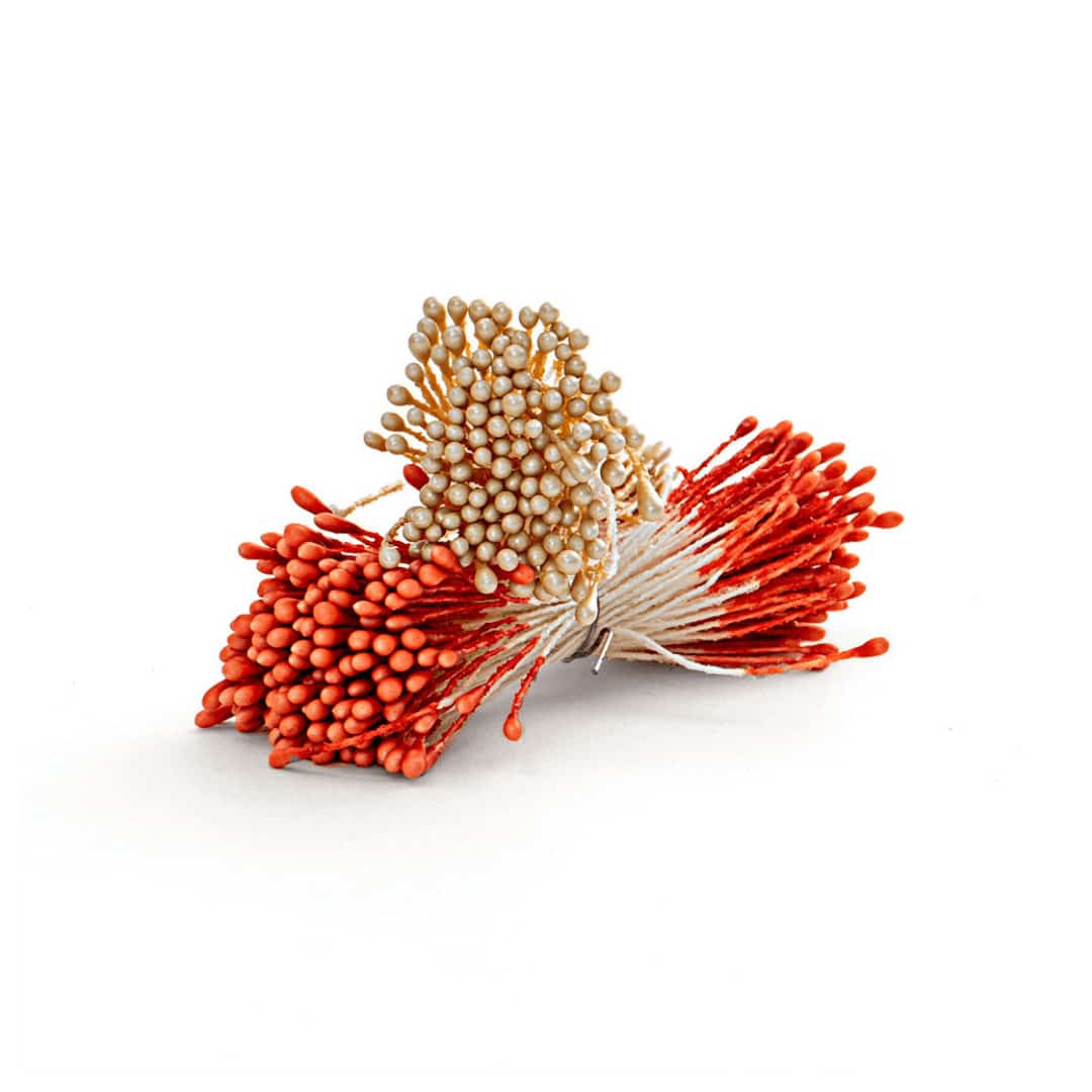 flower-pistils-white-and-orange-pearl