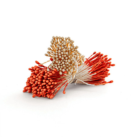 flower-pistils-white-and-orange-pearl