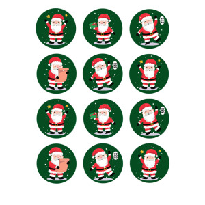 12-mini-discs-santa-christmas