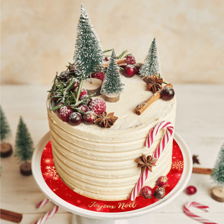 acrylic-christmas-cake-tray
