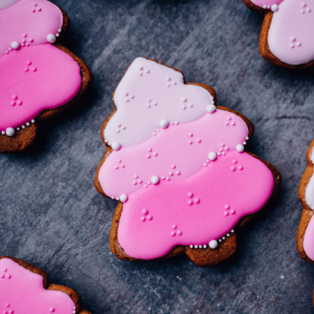 biscuit with royal icing