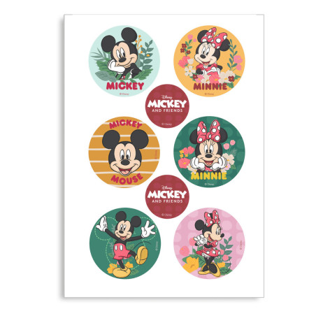 6-mini-azymes-mickey