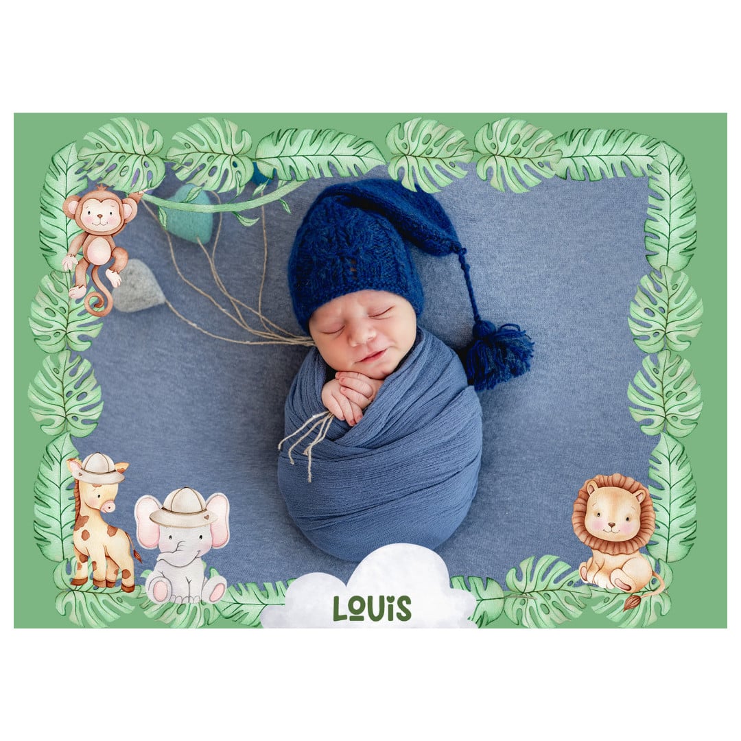 photo-edible-rectangle-jungle-bebe
