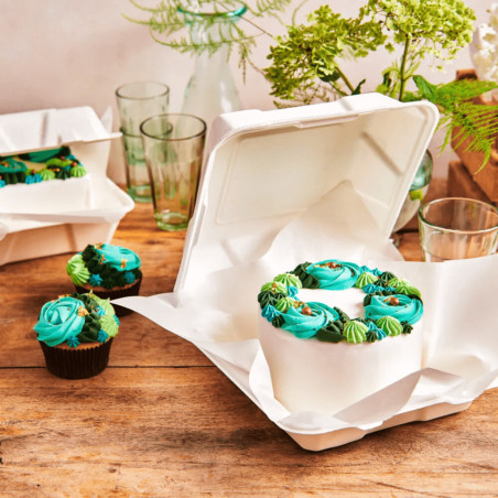 bento box cake funcakes