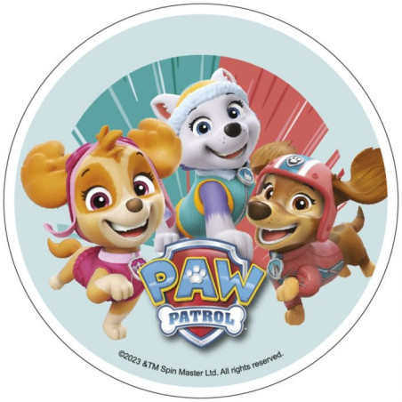 Paw Patrol sugar disc 20 cm