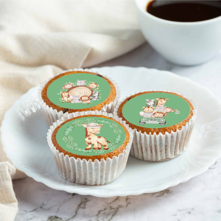 mini-discs-edible-jungle-baby-cupcake