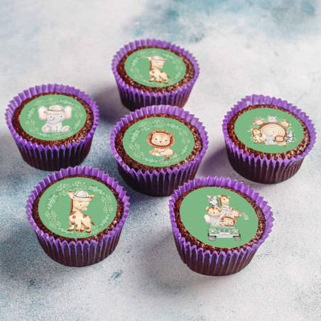 mini-jungle-discs-baby-sugar