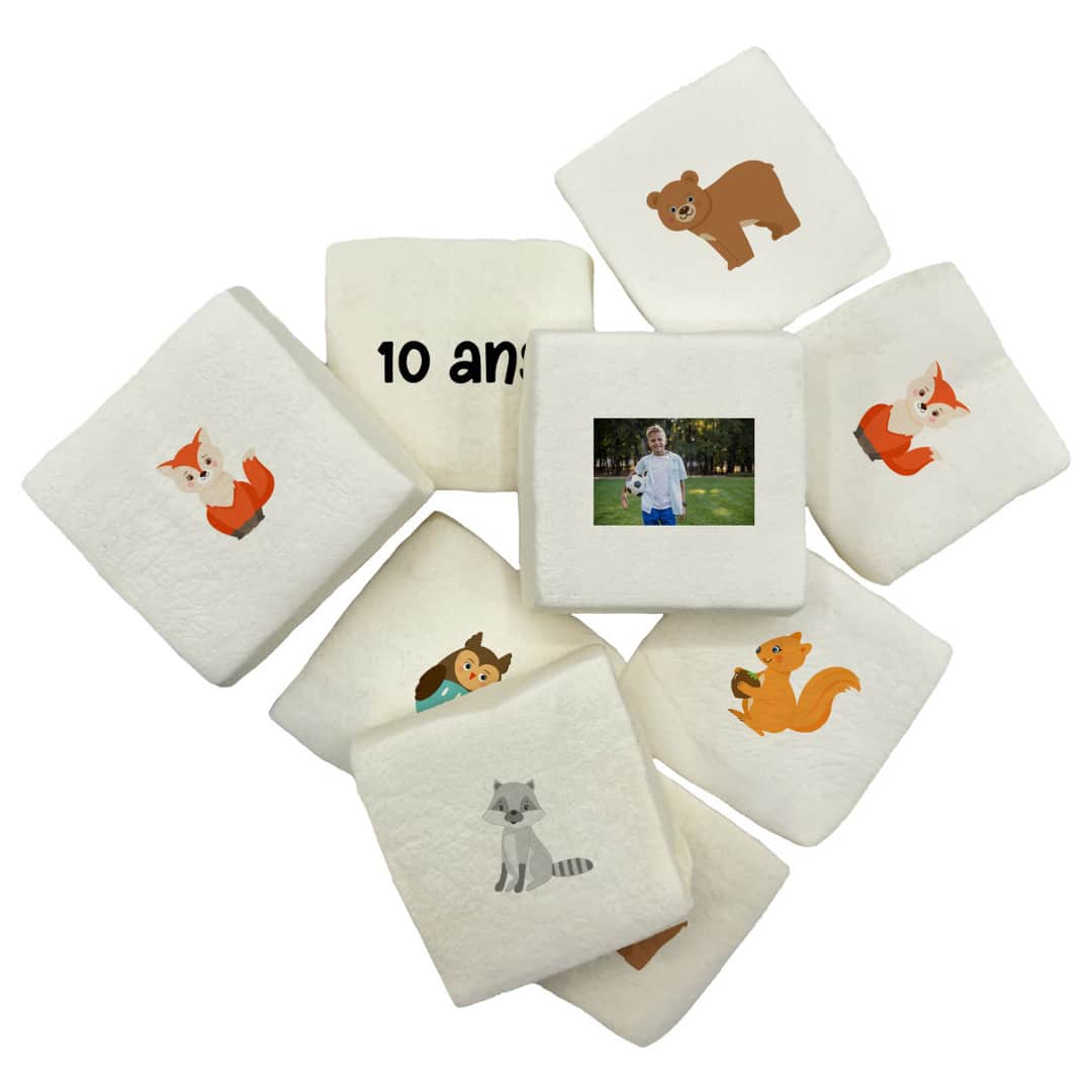 marshmallows-animals-of-the-forest
