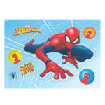 sheet ayzme spider man