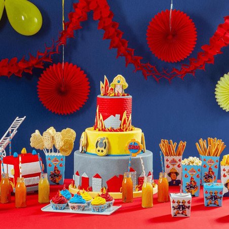 fireman sam birthday