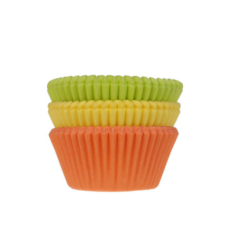 75 multicolored cupcake cases