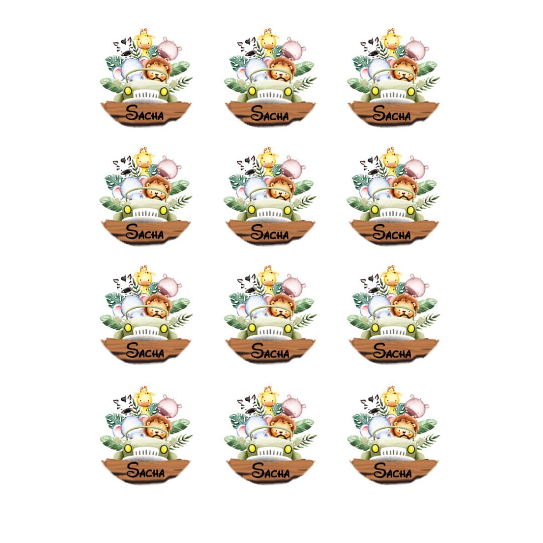12-mini-sugar-discs-safari-explorer