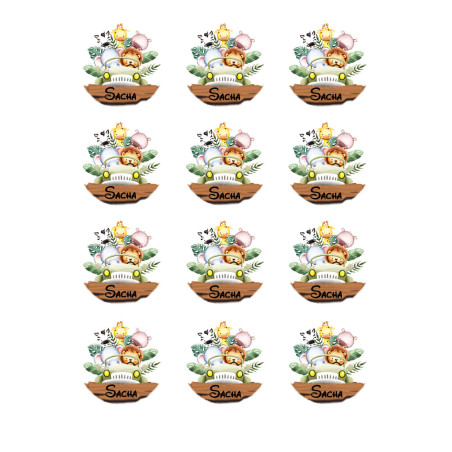 12-mini-sugar-discs-safari-explorer