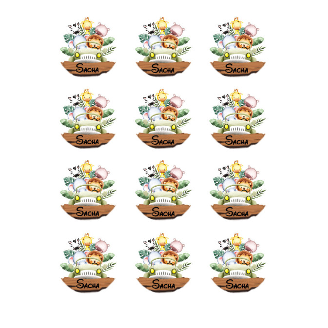 12-mini-sugar-discs-safari-explorer
