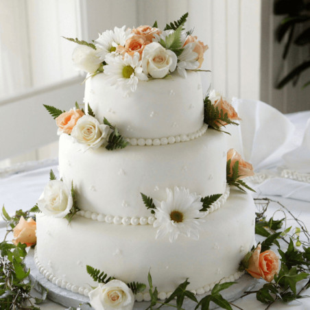SilkyTop White sugar paste 5 kg / Best value for money