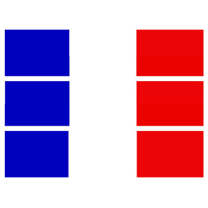 cake-outline-french-world-football-flag-2018