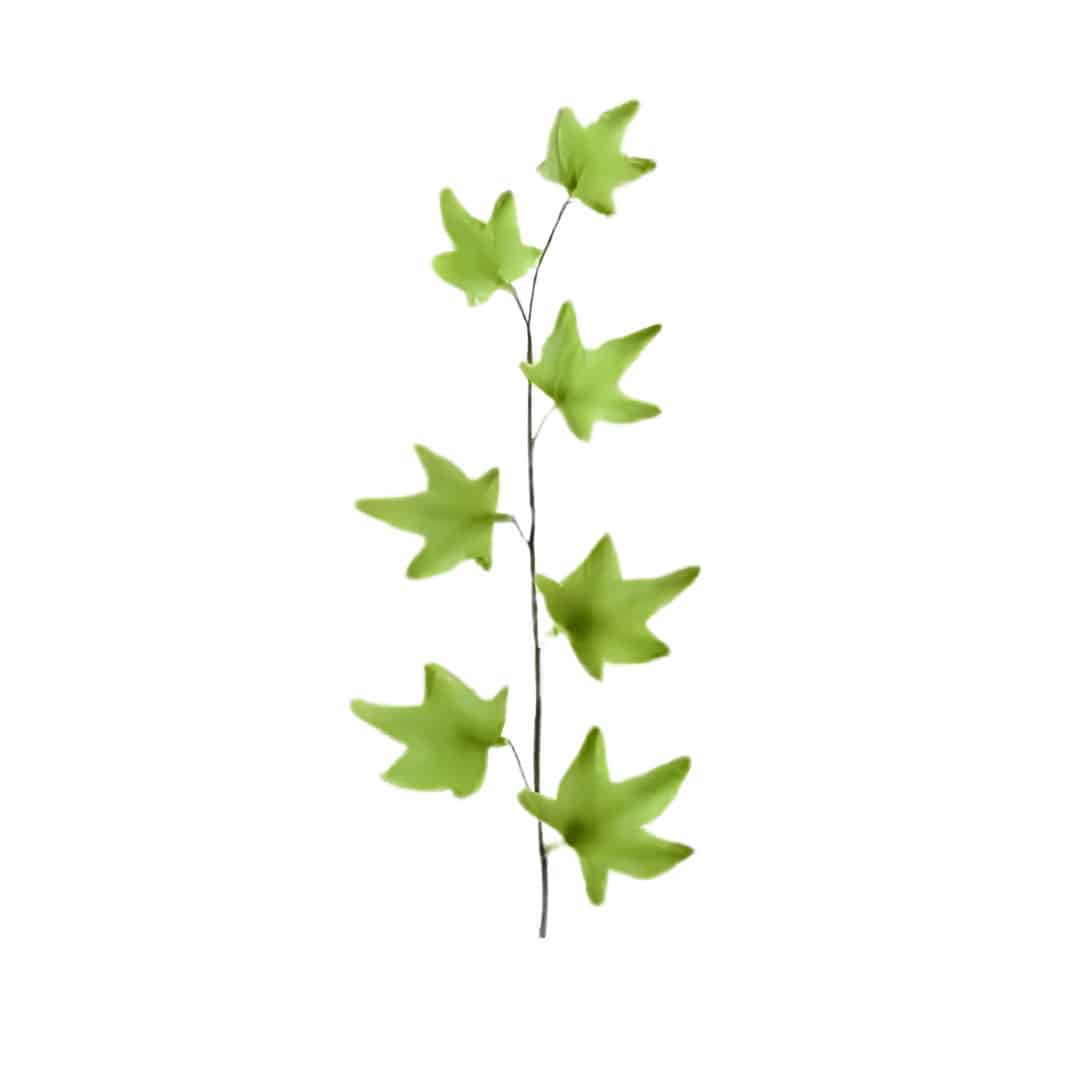 Ivy branch in Pastillage