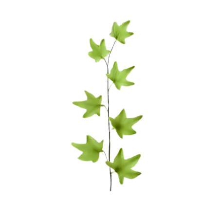 Ivy branch in Pastillage