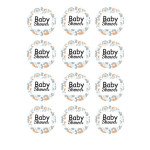 Edible Baby Shower Cupcake Discs