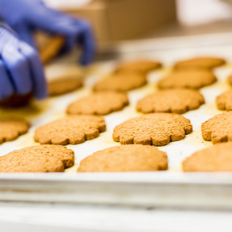 cookies on baking sheet
