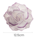 White wafer flower with purple outline size