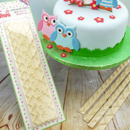 cake decorated with 4-cutter-borders-FMM