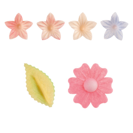 set-of-various-edible-flowers