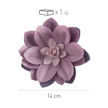 violet wafer flower