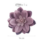 violet wafer flower