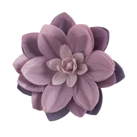 violet-wafer-xl