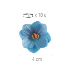 blue wafer flower
