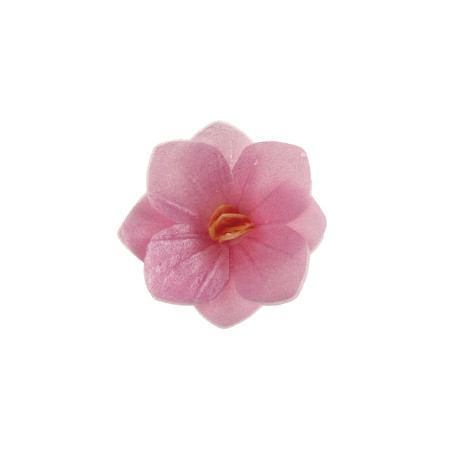 18-pink-wafer-flowers