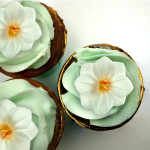 white flower cupcakes