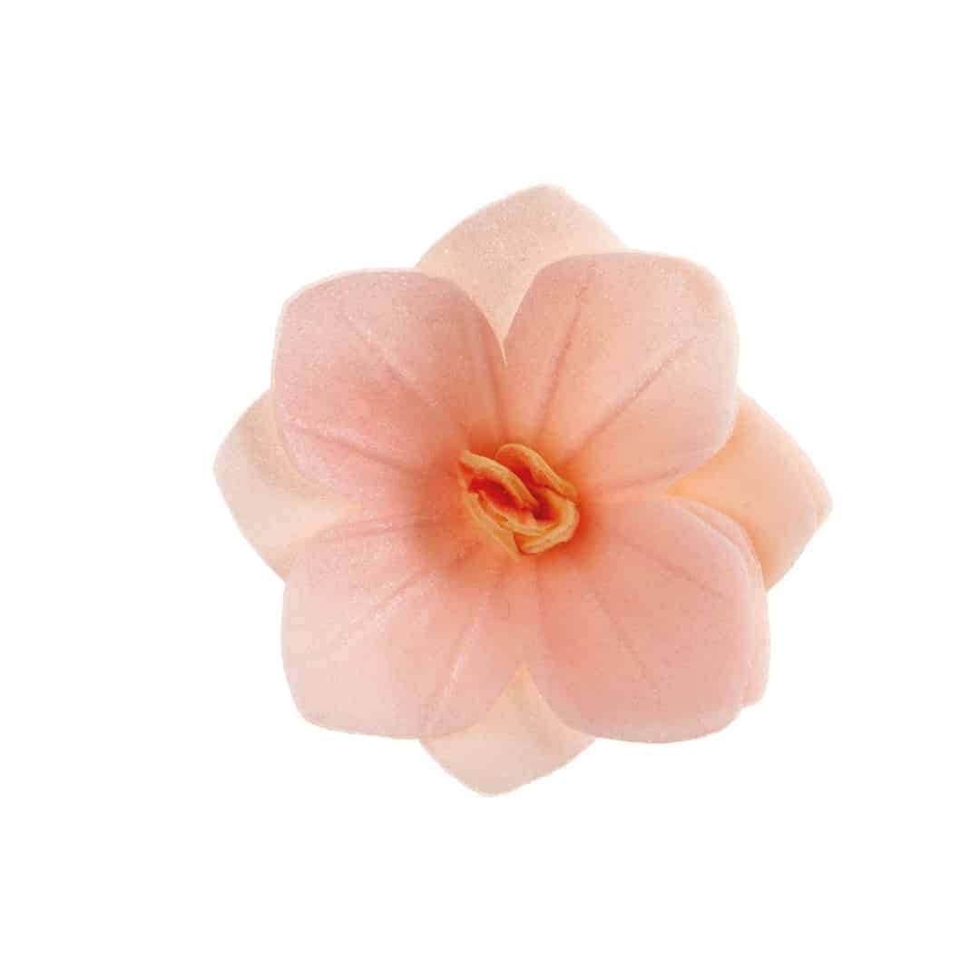 18 light pink wafer flowers