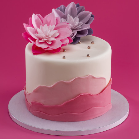 Pink wafer water lily flower