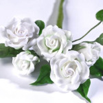 Renshaw flower paste - Colors of your choice