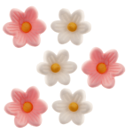 pink and white flowers