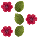 Fuchsia flowers and sugar leaves