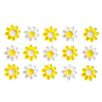 White and yellow sugar daisy