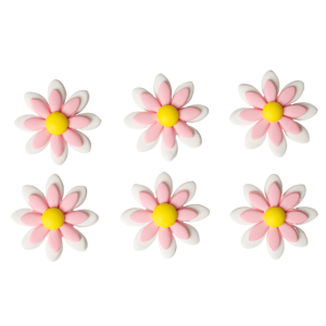 Pink sugar daisy