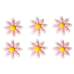 White and pink sugar daisy