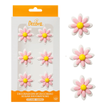 Marguerite sucre blanc et rose et packaging