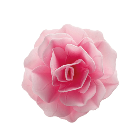 wafer-rose flower
