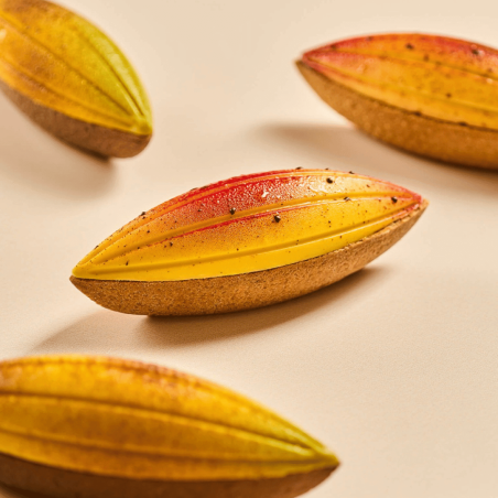 Silikomart cocoa pod trompe l'oeil mold