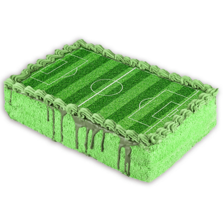 football stadium cake decoration