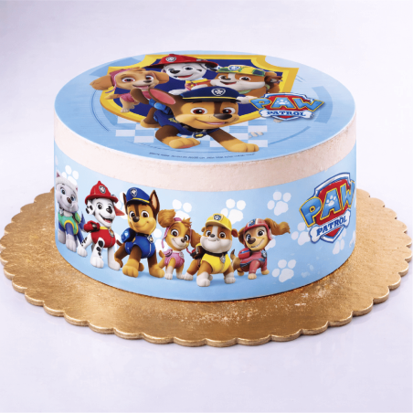 Paw Patrol Decorated Cake