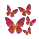 Edible butterfly wafer decorations - set of 79 edible decorations