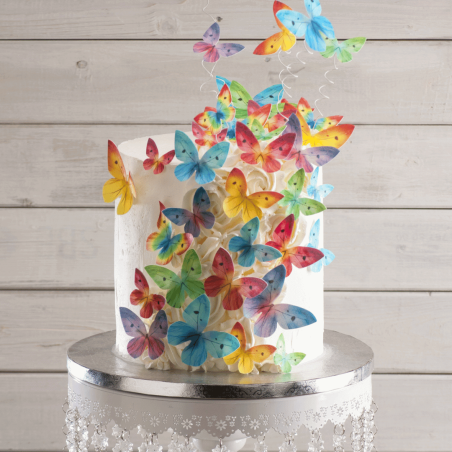 butterfly cake