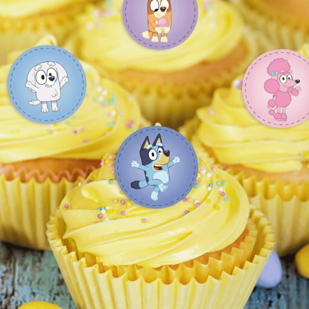 bluey cake idea